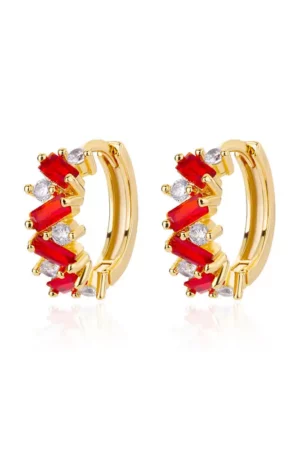 Trendy Hoop Earrings in Rainbow